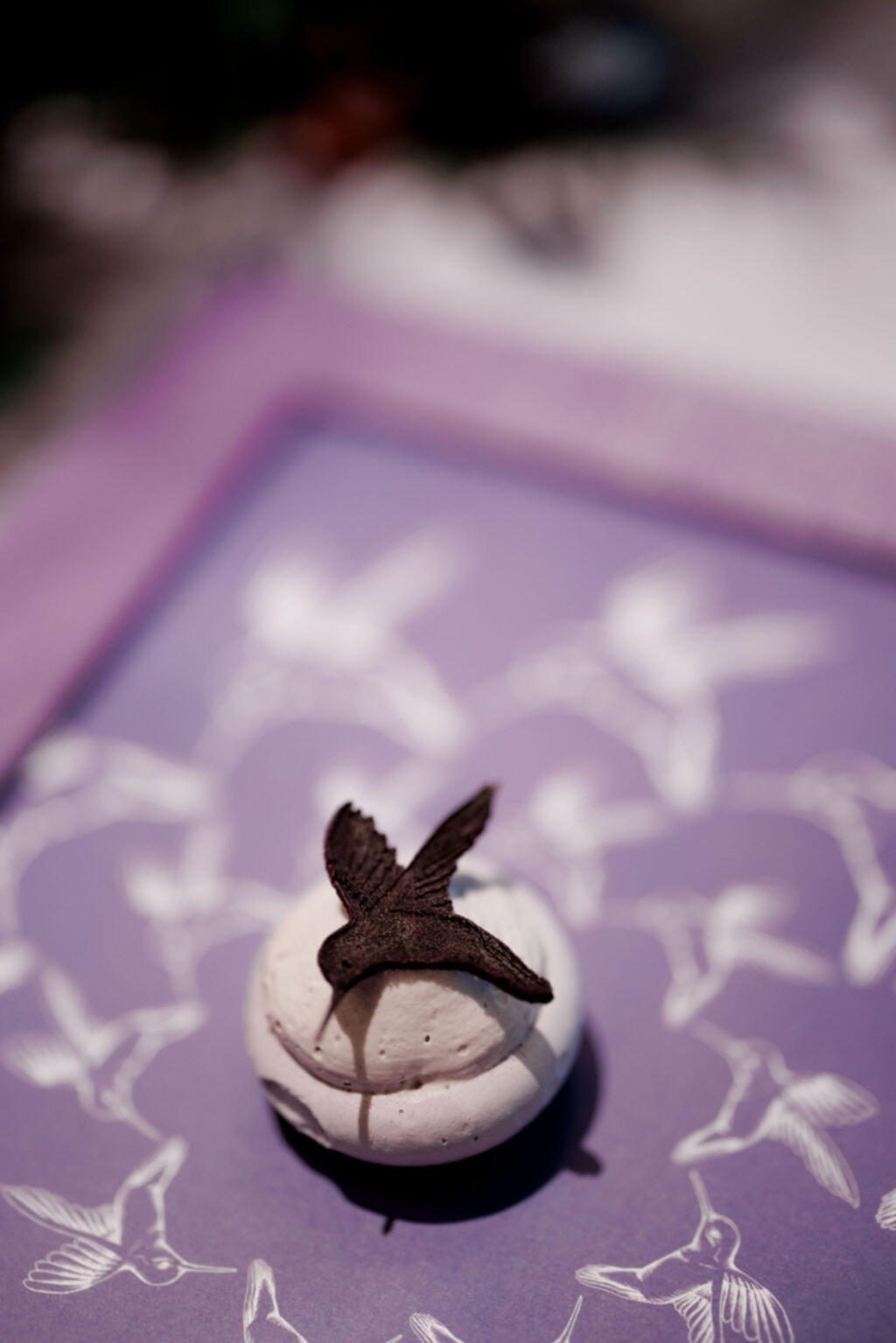 Colibri Club — photo 4