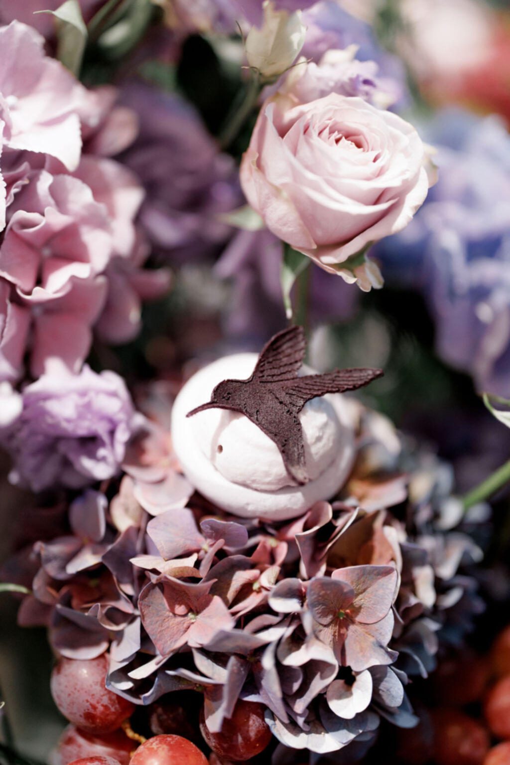 Colibri Club — photo 5